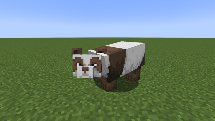 Brown panda, the rarest panda variant in Minecraft