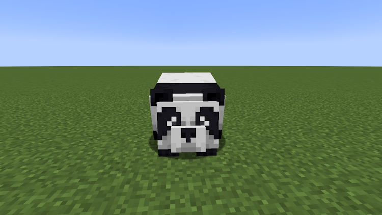 Worried panda variant in Minecraft