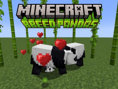 Pandas reproducción en Minecraft