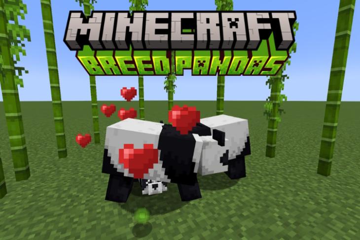 Pandas breeding in Minecraft