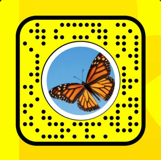 Butterflies Lens Snapcode