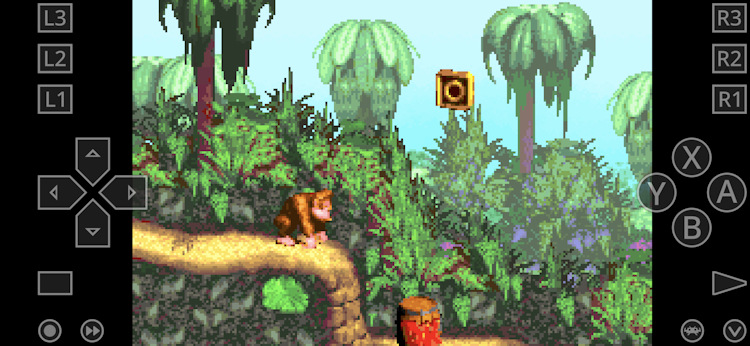 Donkey Kong on RetroArch