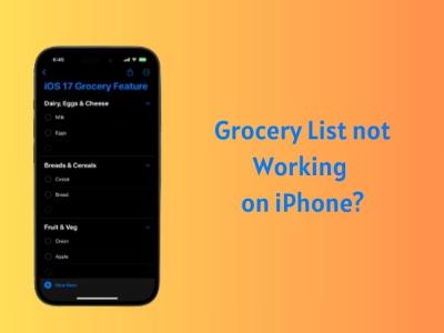 Grocery List not working on iPhone