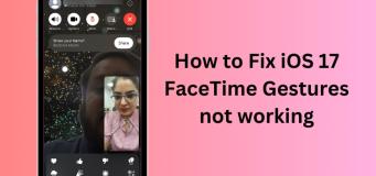 How to Fix iOS 17 FaceTime Gestures not working