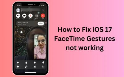 How to Fix iOS 17 FaceTime Gestures not working