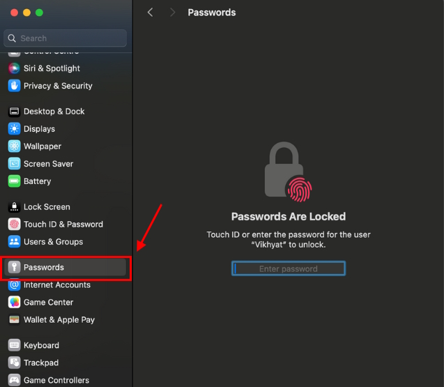 Passwords section in Mac Settings