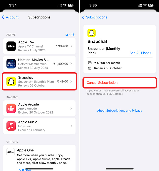 How to Cancel Snapchat Plus Subscription iPhone