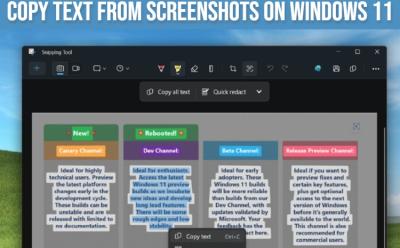 copy text from screenshots on windows 11