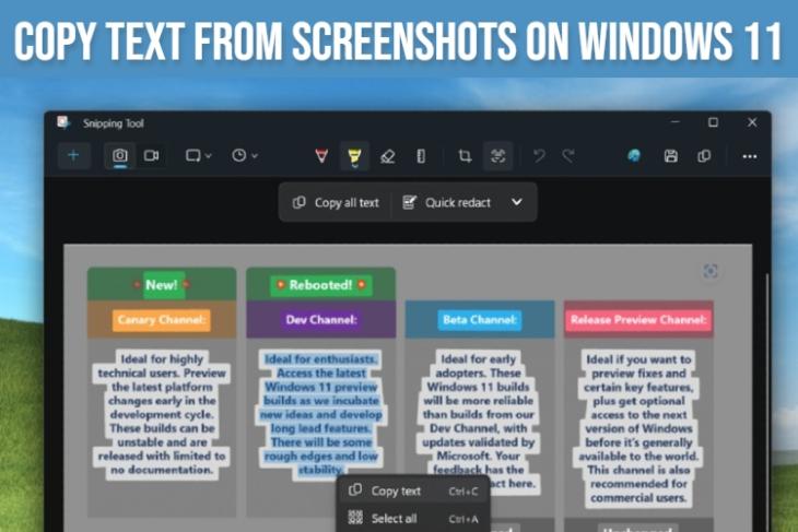 copy text from screenshots on windows 11