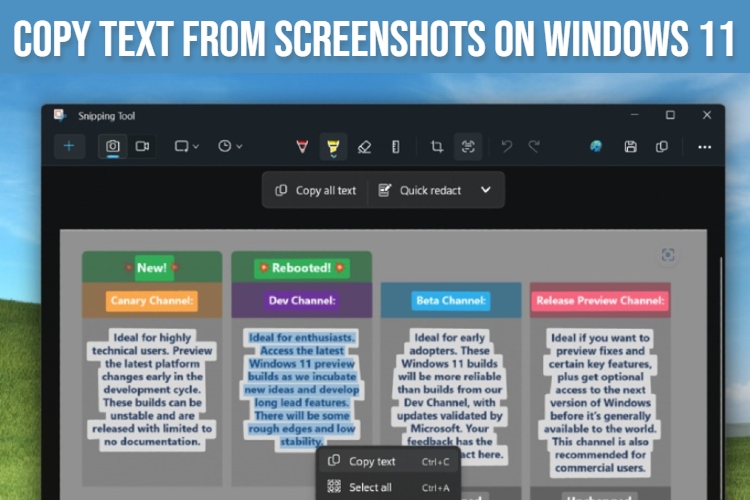 How to Copy Text from Screenshots on Windows 11