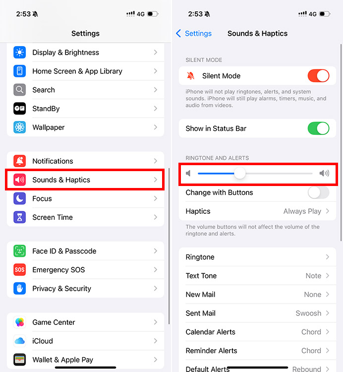 iPhone Settings app with the option to adjust Ringtone and Alerts volume highlighted