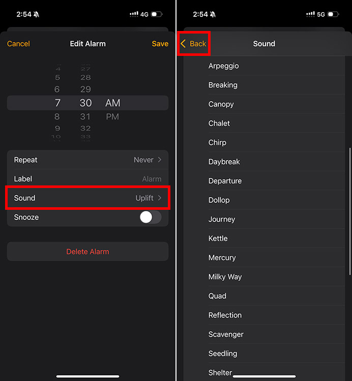 Screenshot showing the sound settings for iPhone alarms