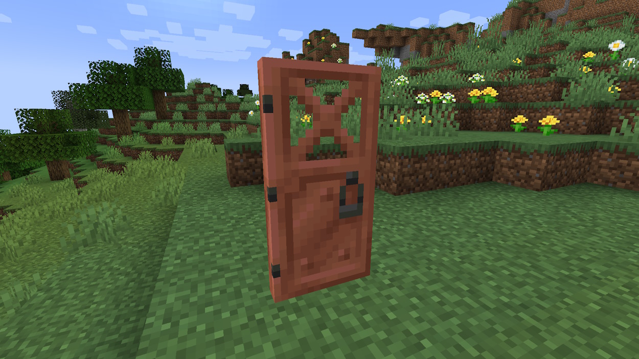 Copper door placed in the world