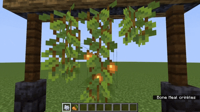 Growing and harvesting glow berries in Minecraft