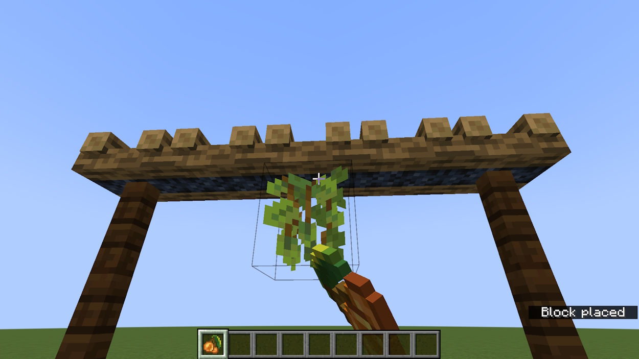 Player placing a glow berry on an underside of a block in Minecraft
