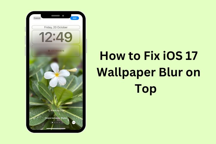 How to Make a Picture Fit As a Wallpaper on an iPhone