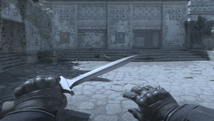 Left hand view in Counter-Strike 2