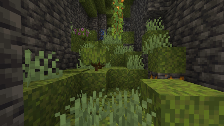 Naturally generated moss in lush caves