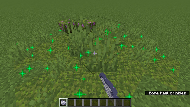Multiplying moss by using bone meal on it