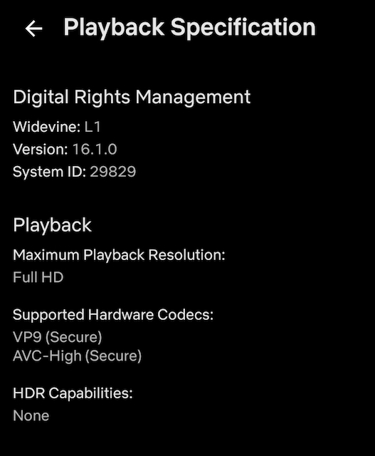 Netflix Playback Specification