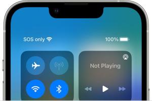What Does SOS mean on iPhone and How to Fix it? (2023)