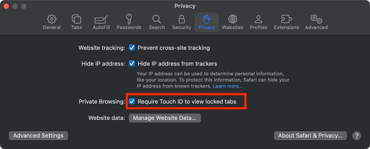 Safari privacy settings
