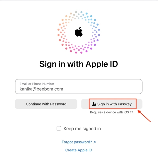 Sign in with Passkey
