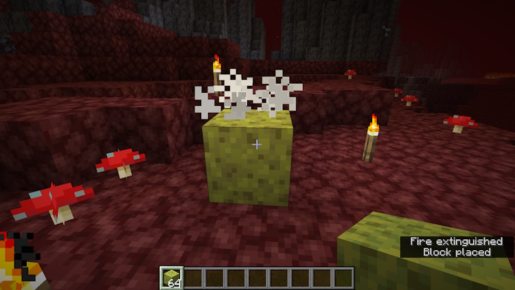 Placing a sponge in the Nether and it instantly drying
