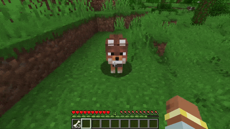Player taming a wolf with bones in Minecraft