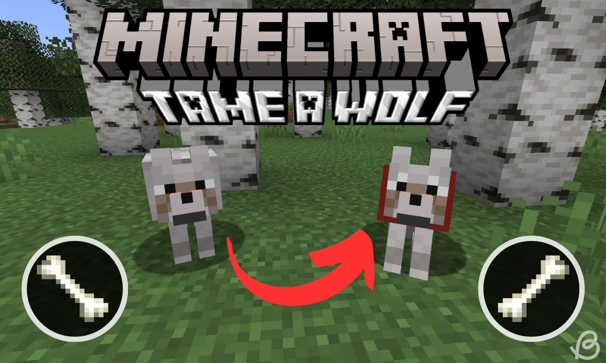 How to Tame a Wolf in Minecraft Beebom