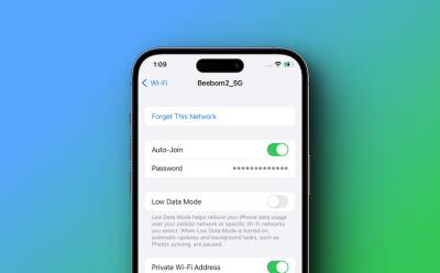 View WiFi password on iphone