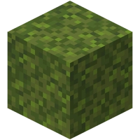 moss block in minecraft