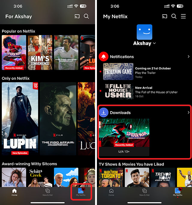netflix home page and download manager