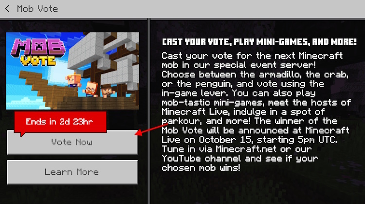 Click on the Vote Now button to join the special voting Bedrock server