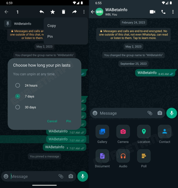 WhatsApp pinned messages and new chat menu