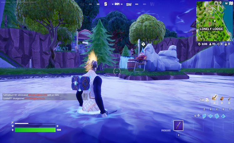 Emplacement du gnome de l'étang du Lonely Lodge