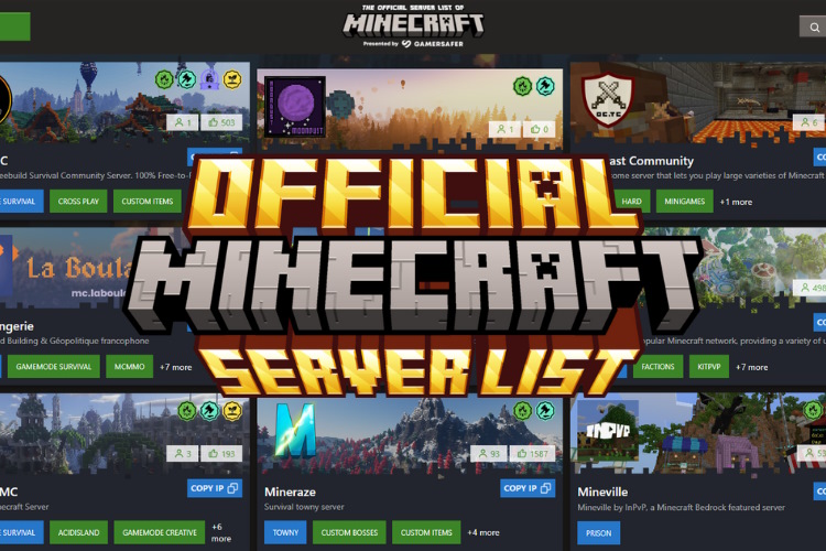 Browse through the official Minecraft Server List