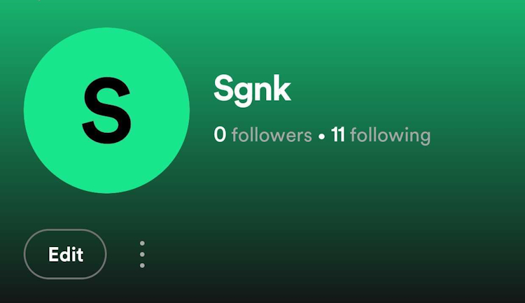 Showing what a Spotify Display Name looks like