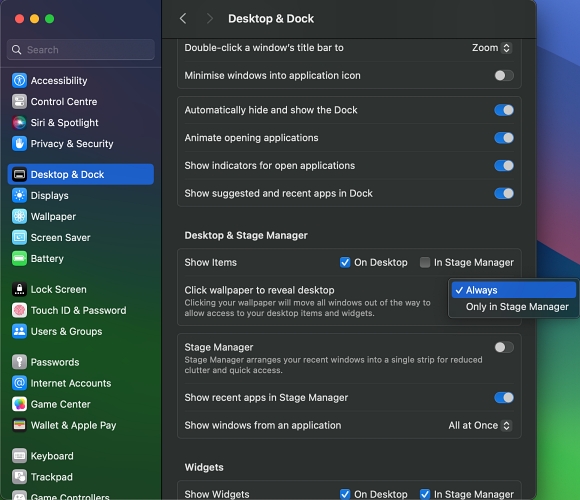 desktop and dock settings Mac