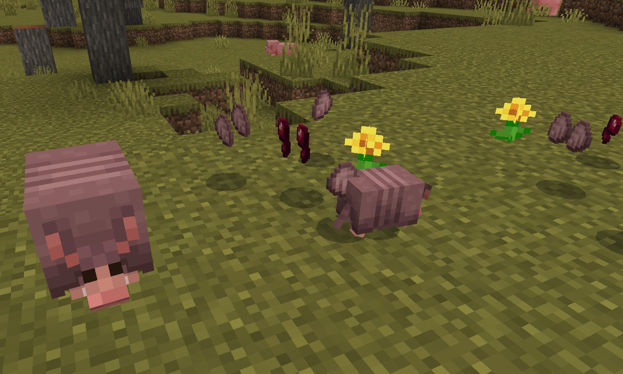 Armadillo and baby armadillo next to armadillo scute items and spider eyes