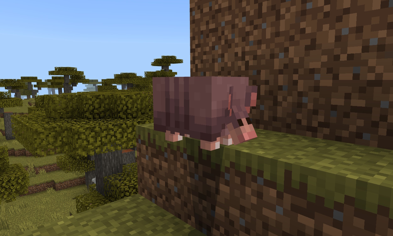 Armadillo in a savanna biome in Minecraft 1.21