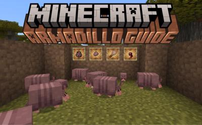 Many adult and baby armadillos in an enclosed area with several important armadillo items in item frames in Minecraft 1.21