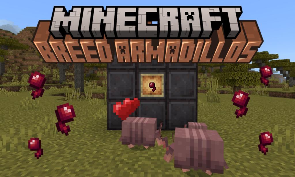 How to Breed Armadillos in Minecraft 1.21

https://beebom.com/wp-content/uploads/2023/12/Breed-armadillos-Minecraft-two-armadillos-breeding-and-producing-a-baby.jpg?w=1024&quality=75
