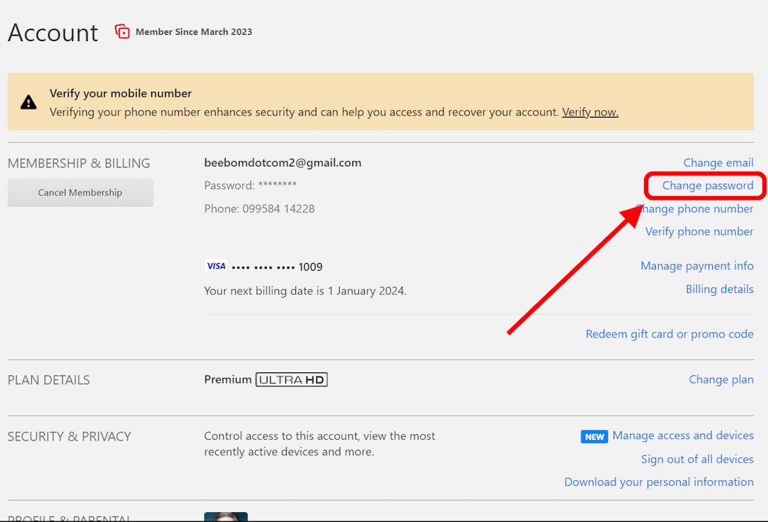 how to change the password of netflix account