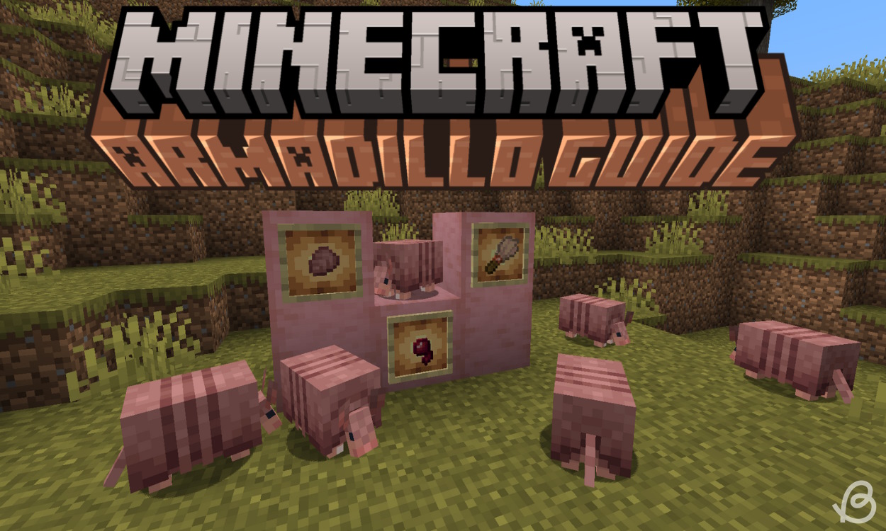 Armadillo in Minecraft: Everything You Need to Know | Beebom