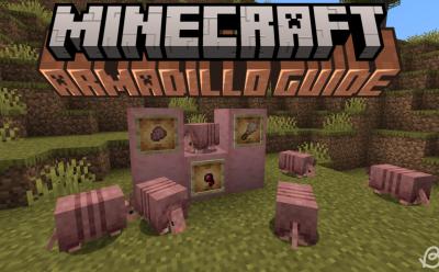 Armadillos in the savanna biome and armadillo scute, the brush and spider eye in item frames in Minecraft