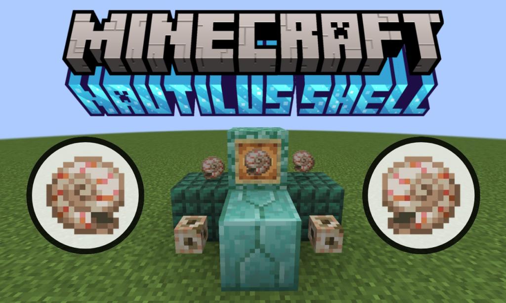 How to Get Nautilus Shells in Minecraft

https://beebom.com/wp-content/uploads/2023/12/Nautilus-shells-Minecraft-prismarine-blocks-conduits-and-nautilus-shells-in-item-form-in-the-Minecraft-world.jpg?w=1024&quality=75
