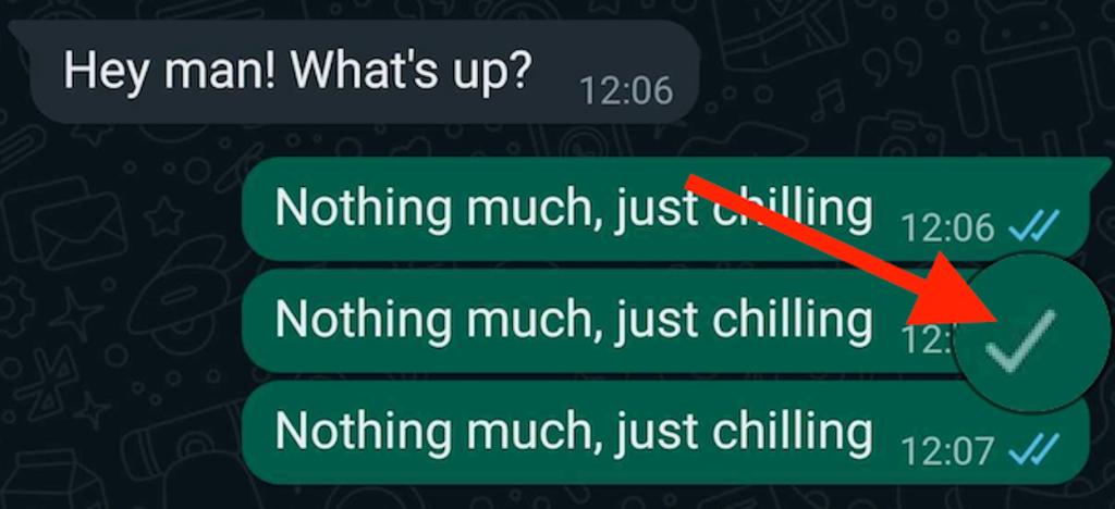 Single tick on messages when someone blocks you on WhatsApp