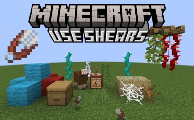Wool blocks, different vines, sheep, snow golem, cobwebs and more, as well as shears in item frames in Minecraft