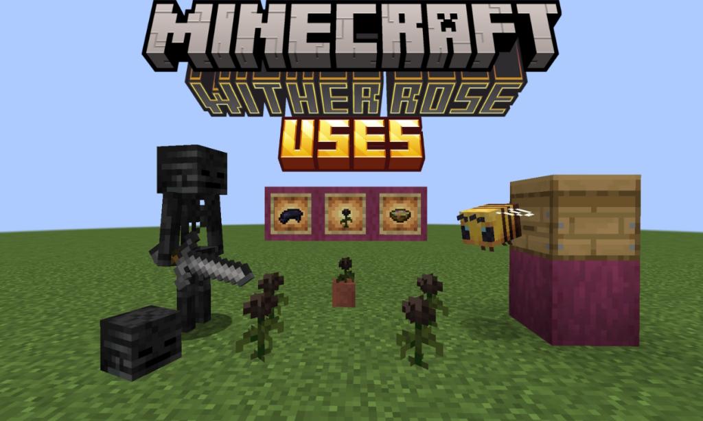6 Best Uses of Minecraft Wither Roses

https://beebom.com/wp-content/uploads/2023/12/Use-Wither-Rose-wither-skeleton-wither-roses-a-bee-and-beehive.jpg?w=1024&quality=75